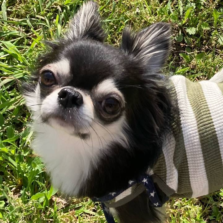 871cad0f 7aa8 46c4 b586 820a4533f7f7 1649598548327