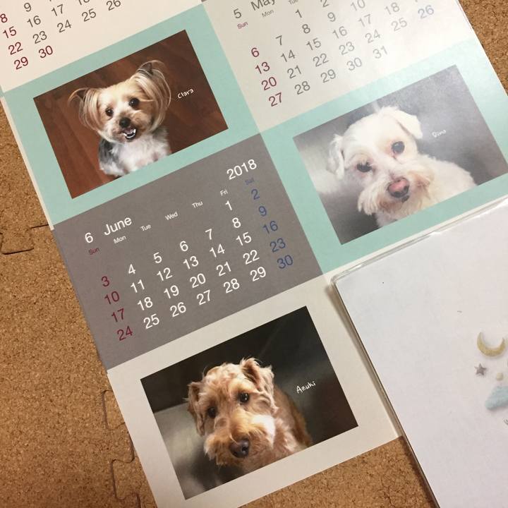 871cbe46 5299 41f9 beb5 dc506d559097 1523877099566