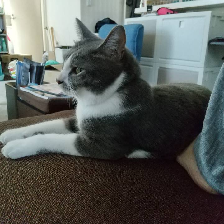 871ccea6 0cba 4be5 9b6b 9a3981da5b67 1627369200863