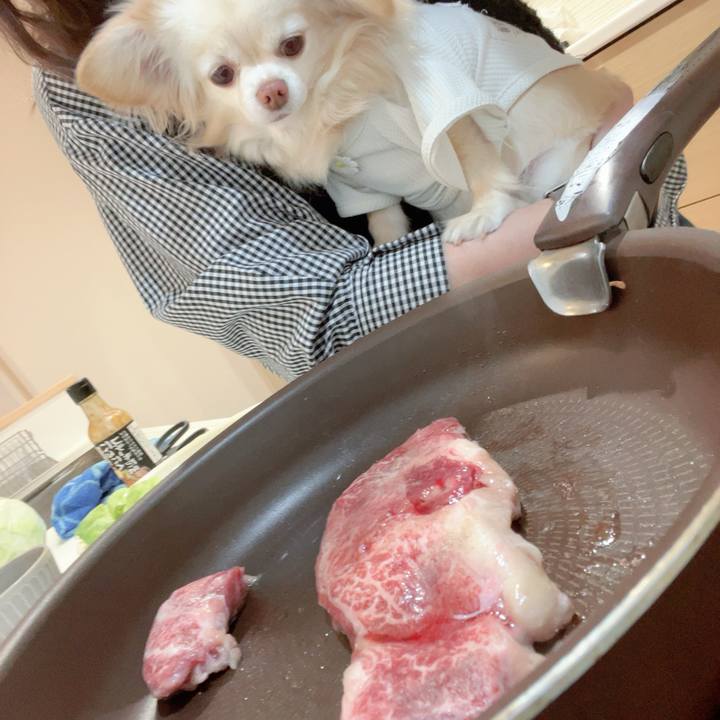 871cd9bb ec3d 4e3d 8b01 7b92b1901e96 1744976298280