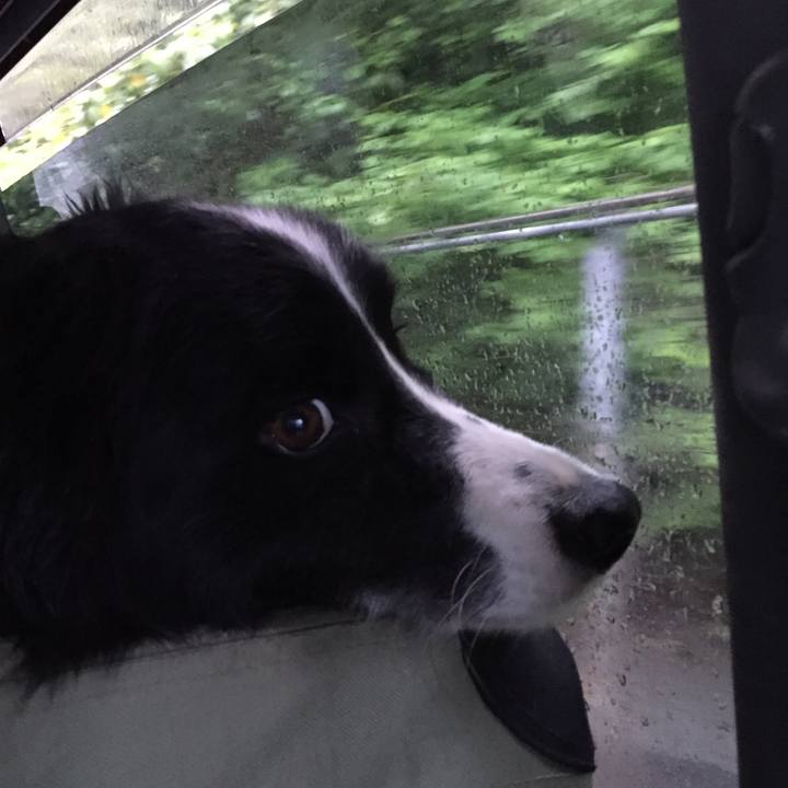 871ce172 b966 402f 96af 384dc6730dd2 1525169541521