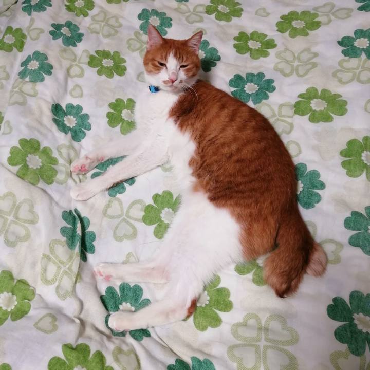 871ce9fb cec0 42c7 ae9c d25b6990ddd7 1604439547775