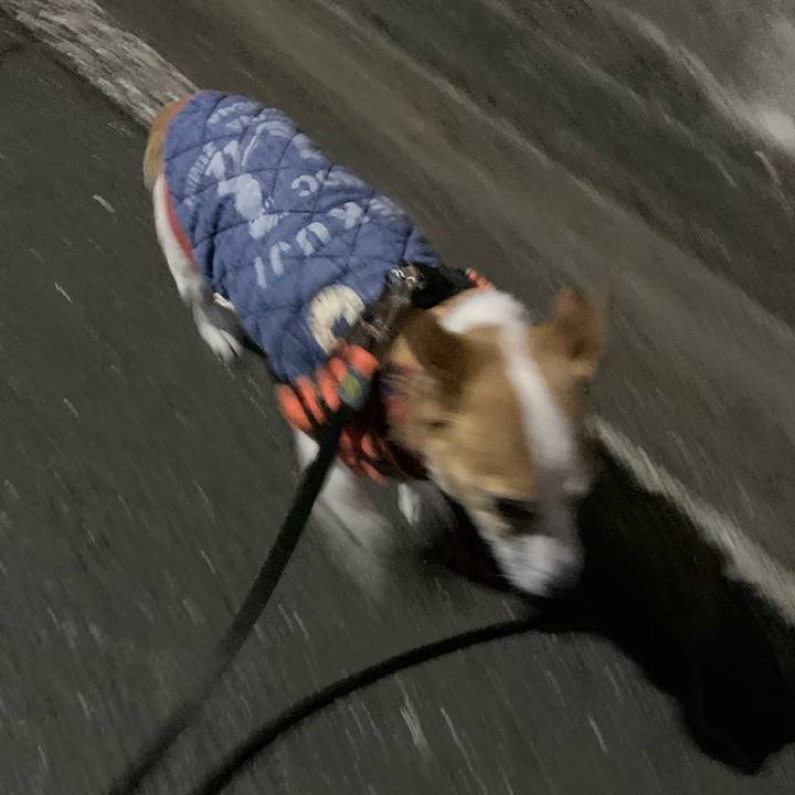 871d63b5 f19a 4479 b2e0 8455eea77473 1645016702555