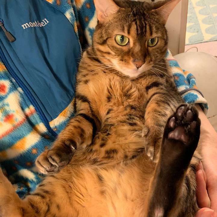 871d66e3 8c94 4715 916f 01d3a9be591b 1583378757522