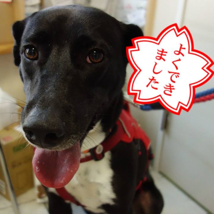 871d7c92 bd86 4c11 8587 dde82221490e 1596616865283