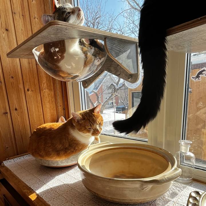 871dbe66 8165 4cfa b42c 467502a2e191 1708129915091