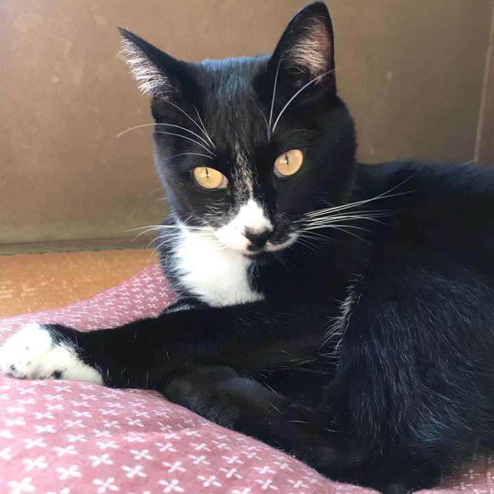 871dd30b b150 4910 b0e9 9cd82545ee0b 1668742895984