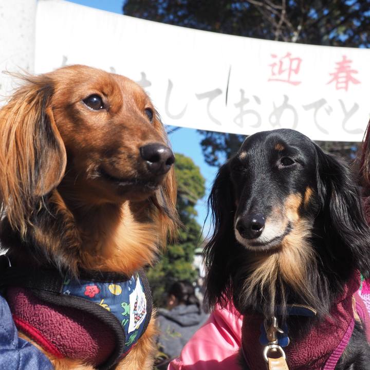 871e1732 0dc2 4e6f b059 c9ca7696cde2 1735872162287