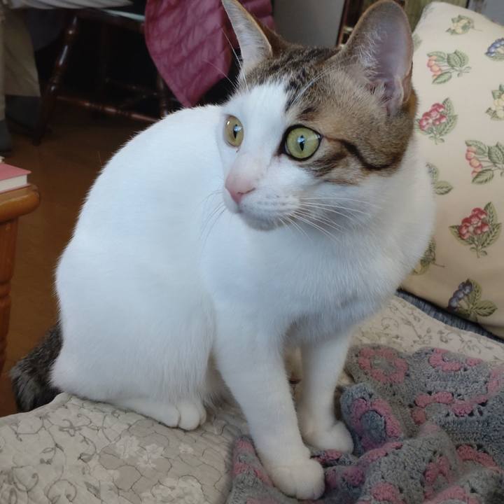 871e5fd2 e3e2 44ae 8711 b909f2ed1f00 1679282468669