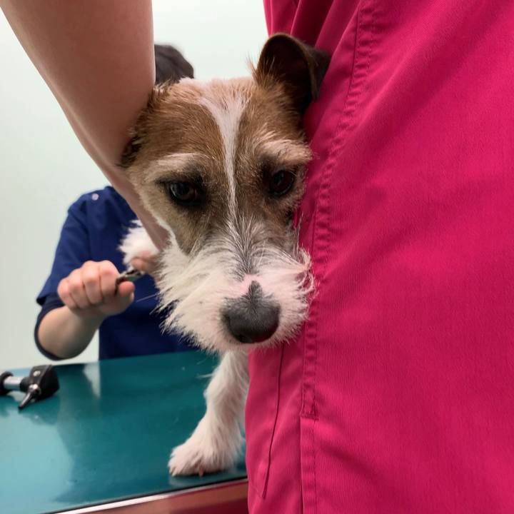 871e6712 fb2e 49d2 b574 4b90ab20ad43 1582970724249