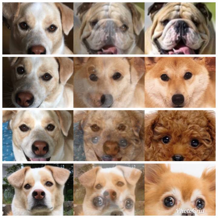 871e6f7a c4b3 4845 b5f9 d00206d2383a 1528987518104