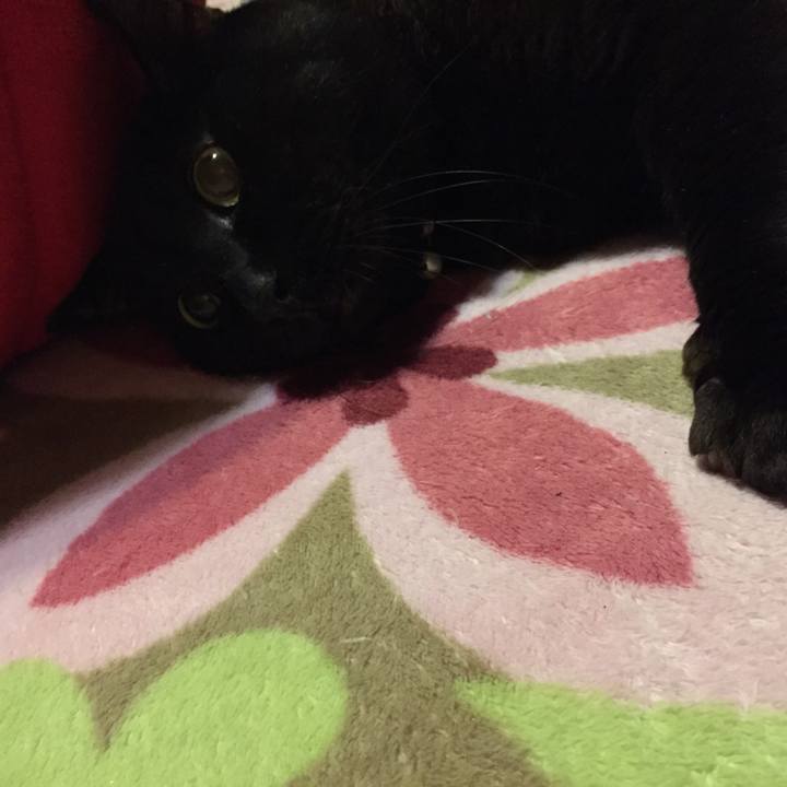 871ea050 07a8 4c7b b047 bdc9eaf2c895 1521111724040