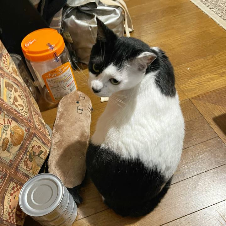 871ed540 54e2 4dac a0a0 fe3be8f720f4 1716505330302