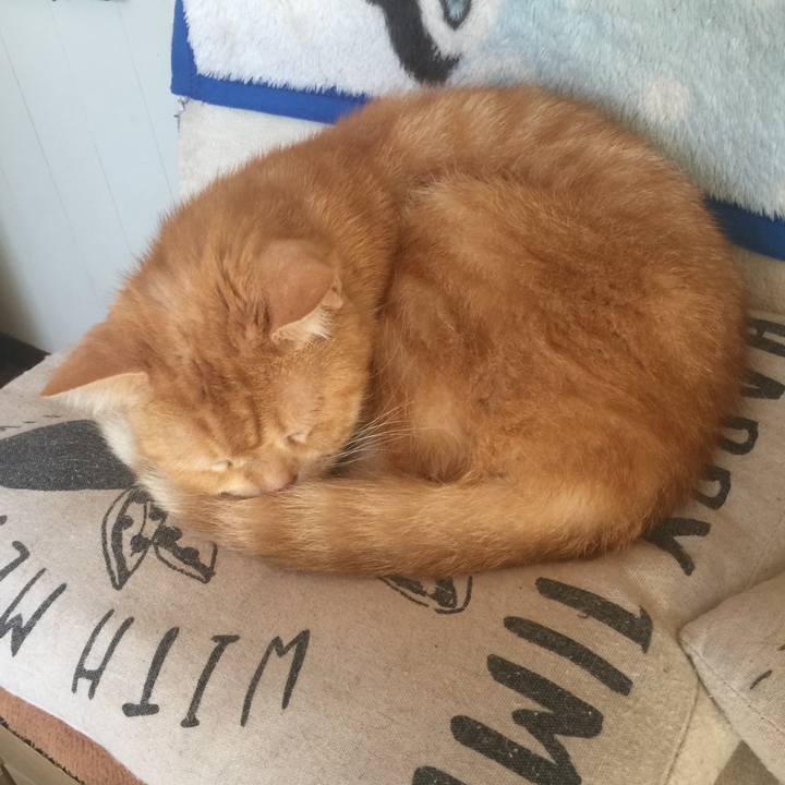 871f3f04 a3ba 4c7f bcd2 ad0013fbde81 1572439472875