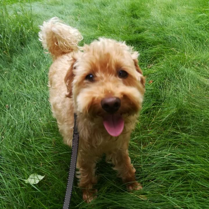 871f47b0 3ec5 462b ae1e 9187688c11b9 1532557126958