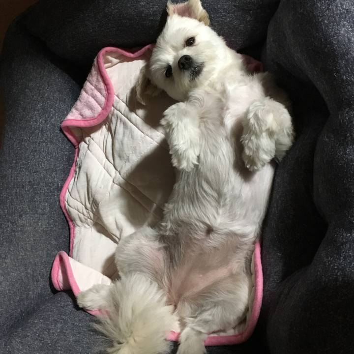 871f7cd6 0547 4c8c a0dc 66f653cb3506 1565092725095