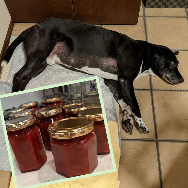 871f83dd dd39 4b52 b311 0fa1391b9dbe 1695639261336