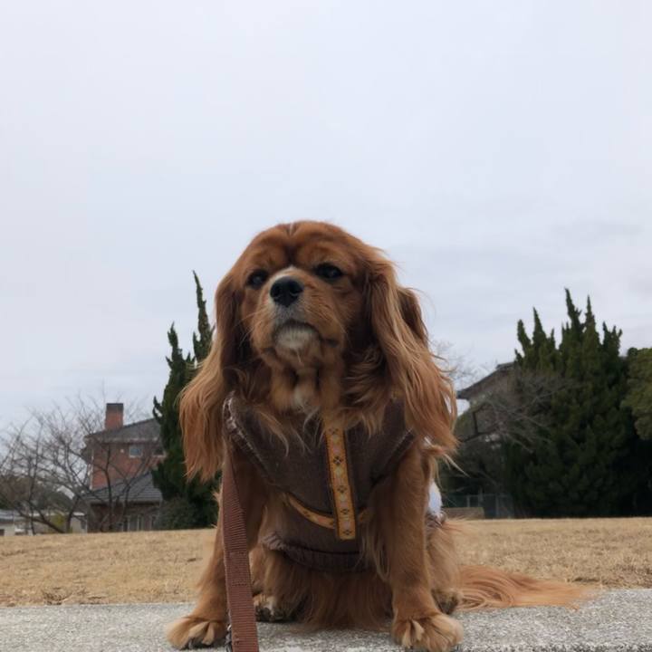 871f9810 4dd8 461c 98f1 637a7794b0fe 1610326930898