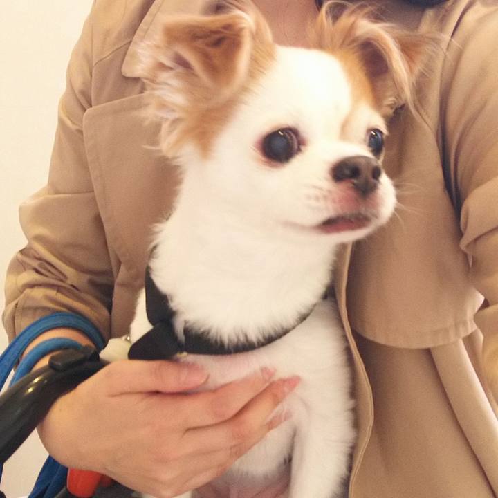 871fa4de e15e 4312 bca1 a6171a831fdc 1588091411442