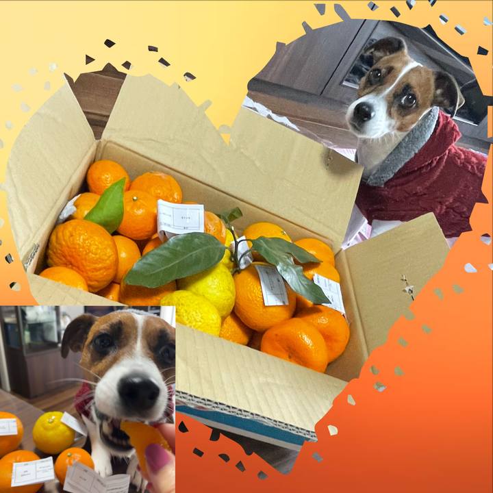 871fd0eb 6b3e 46d3 9b1e 5ea1aca23e2b 1645145861702