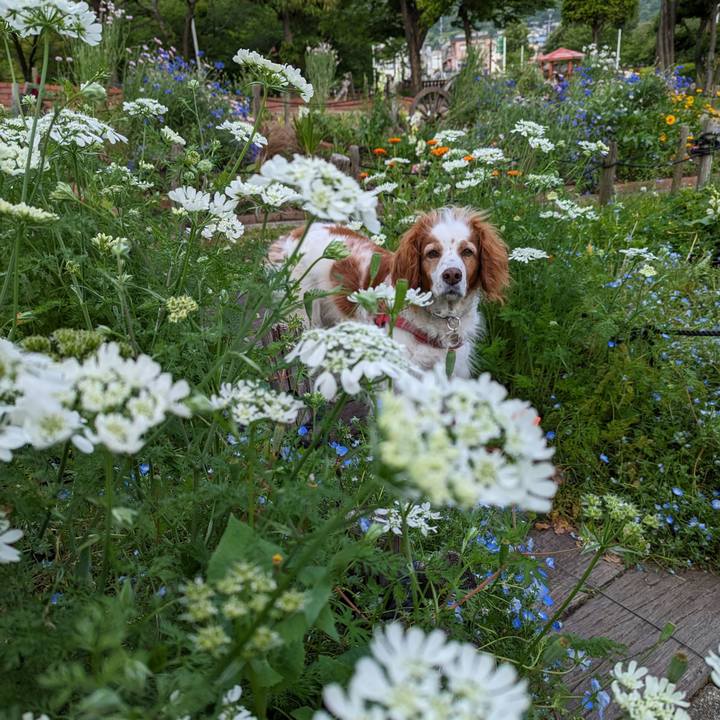 871fd716 52c9 4d68 bc95 36a47e045d61 1683545455690