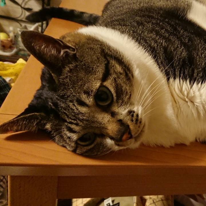 871feb9a 7a64 450d b4c7 0fc9523be096 1523612233629