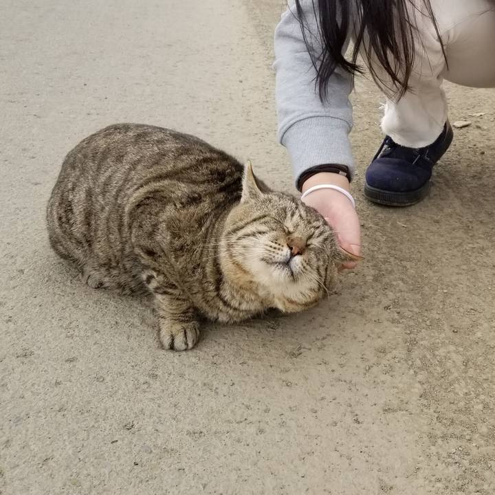 871fed2d 2793 4ec4 9d6b ff694098312b 1617279724651