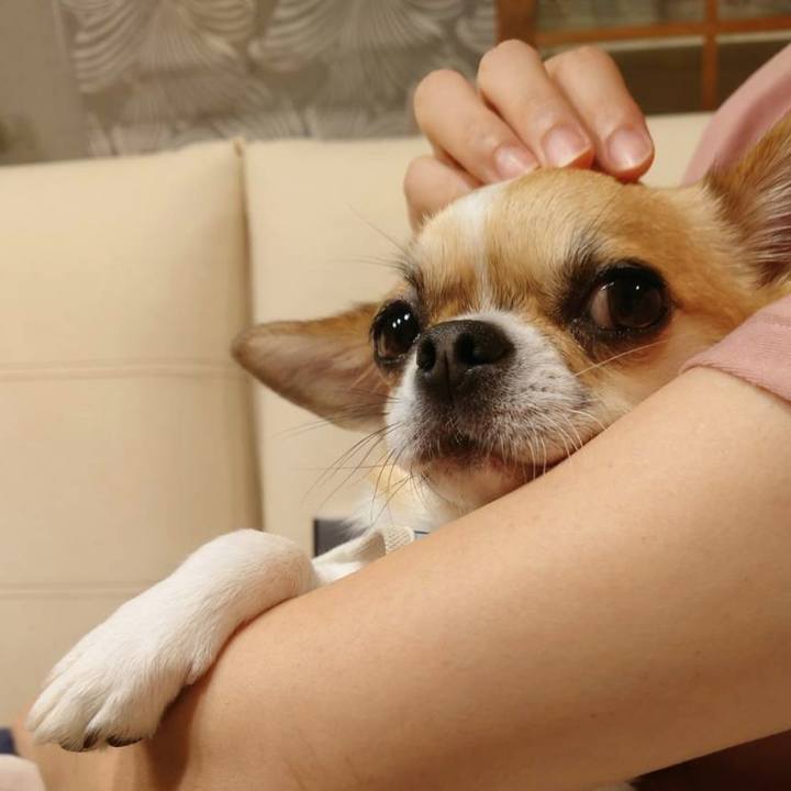 871ffb2a b49f 4118 8b04 b95cb6edf110 1625396836058