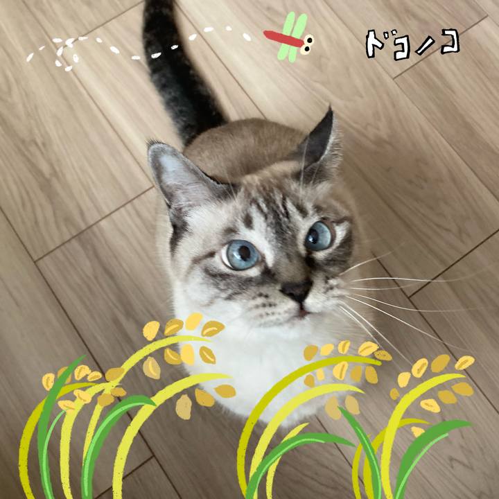 87200990 f292 47a3 8e44 89fea25805e7 1763283145287