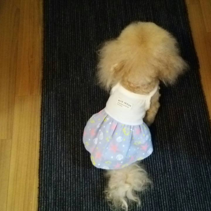 87201cd2 86f1 44de 85a6 64fdd3e05122 1536671185797