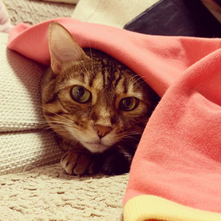 872052d9 1659 4b09 96e0 4612610c9405 1595117933052