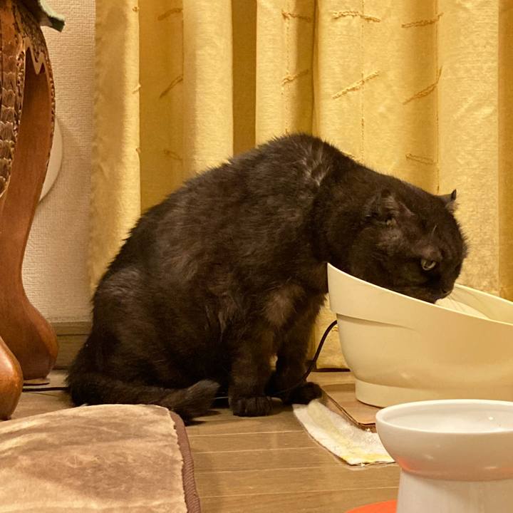 87209f53 873f 4fa4 9db3 f4f928fba5f2 1610463729771