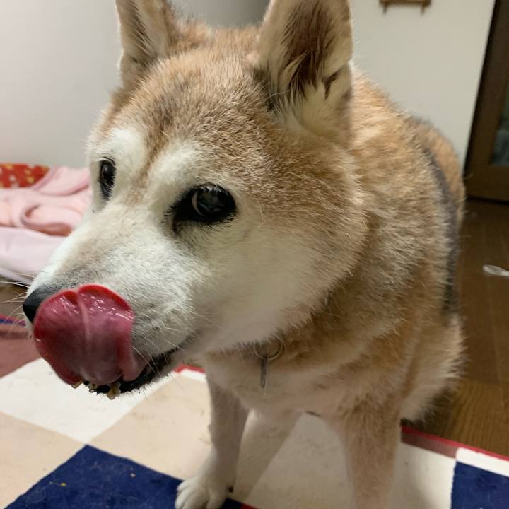 8720a98c be04 4e0e 97cb e0fdfa4d6cb0 1658631275245