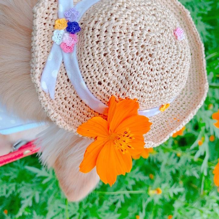 8720afd3 3755 405b 8c00 fcde2f930710 1631451609758