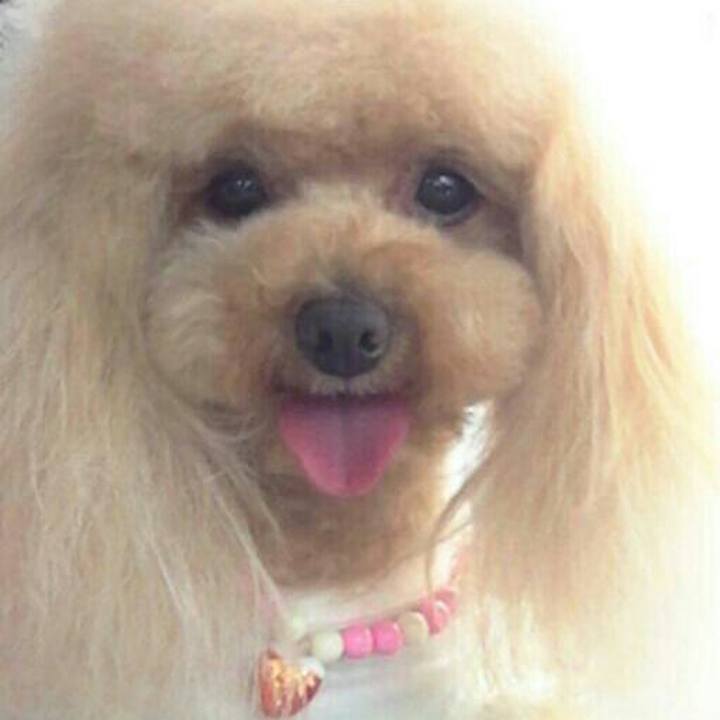 8720e6cd c684 49a4 a03e 9dc19c7bd1ec 1560685093170