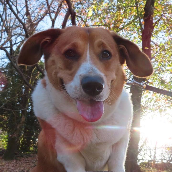 8720ed6c e8c6 482b b5cc 7d1a4df22128 1671255819575