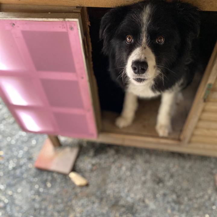 8720f459 9405 4857 9c61 869ca5376963 1721706378447