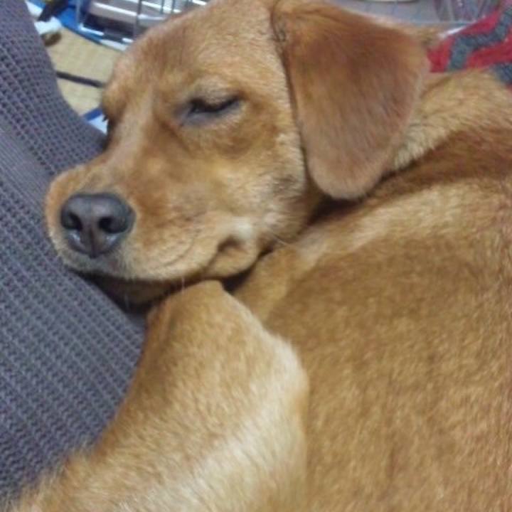 8721095c 71ae 4c70 aead 5659496b8bc1 1522989816653