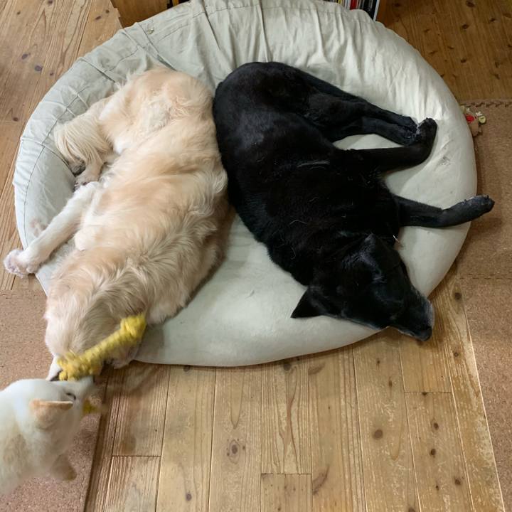 872114b6 d2c8 4544 9f80 ec4a944c26e0 1611380631414