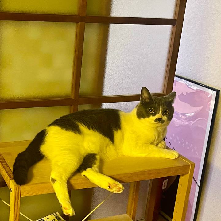 87213ce7 f3bd 4919 9c17 1e809b4ce9e0 1653559676266