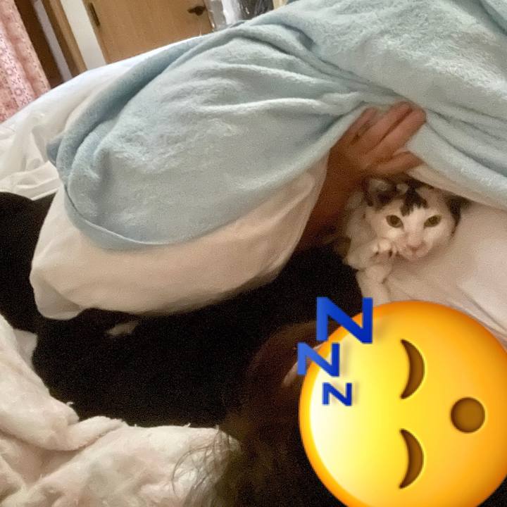 872167c3 5d04 4575 9a83 b1aed4514abd 1703473220238