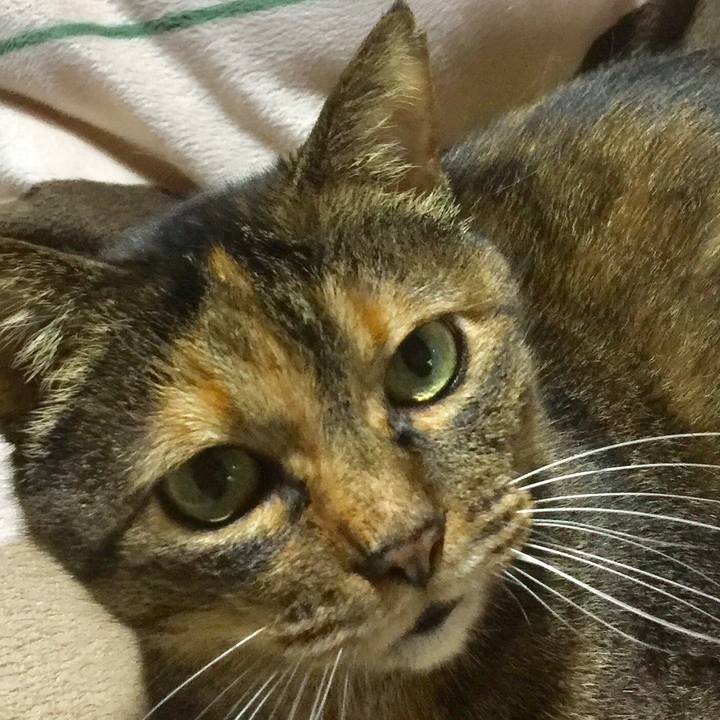 87217b33 2051 411e a758 fb946a0ce920 1549952237335