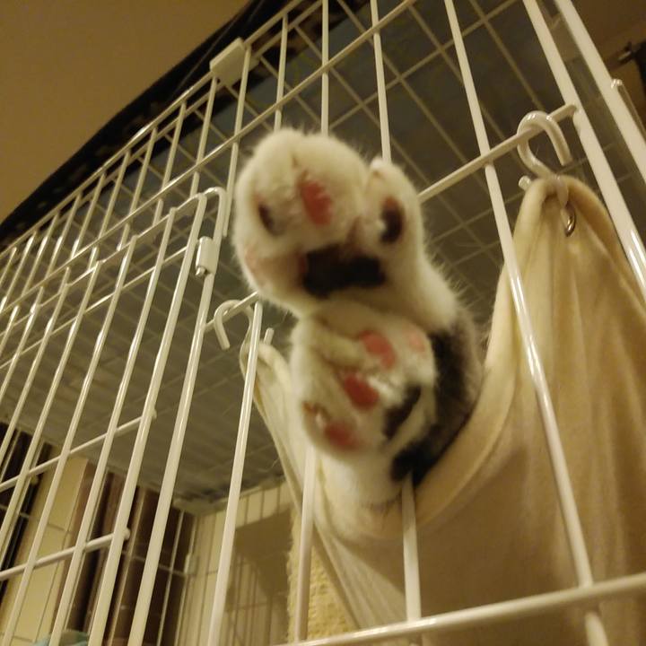 8721de99 f0a9 4fcd a4a8 cddfb868c3e5 1595862472979