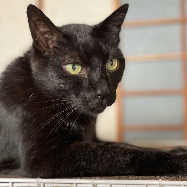 8721e734 d0ec 4e46 9a39 9795e7d72ac0 1623808055599