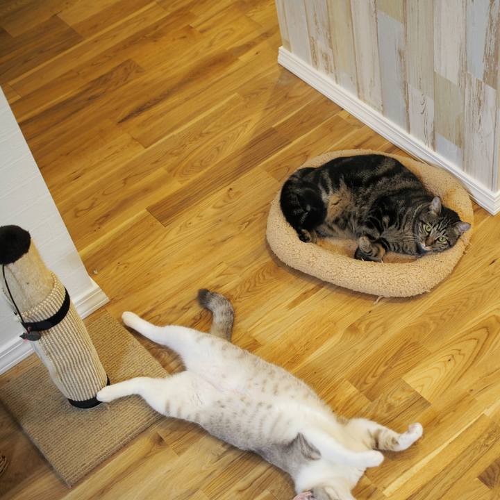 87220340 37a4 432e a263 8e9300c0a457 1538928699230