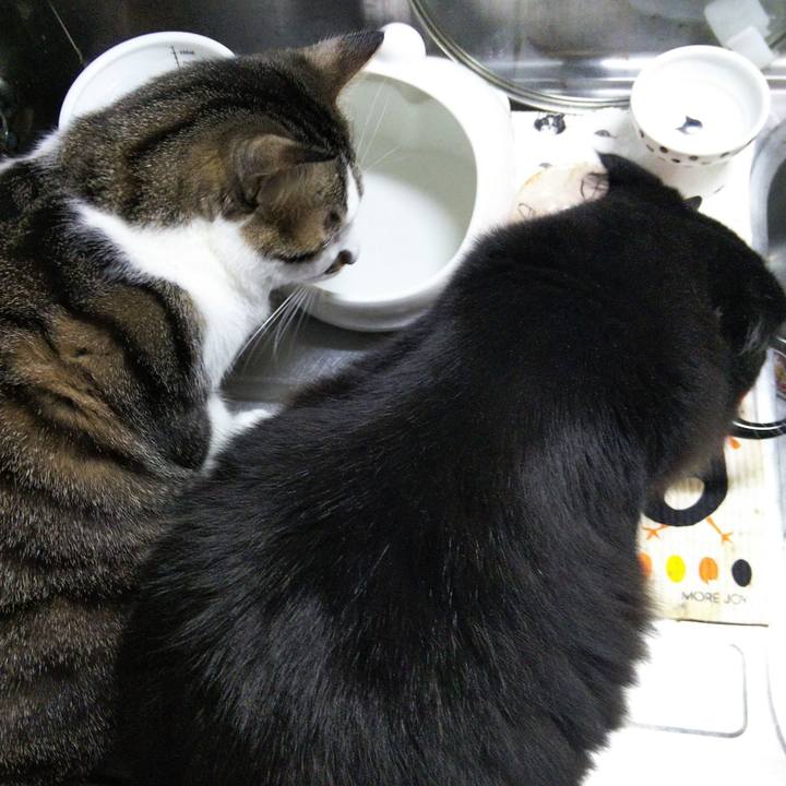 8722313f ff5b 4c9e aa38 fdb2635fa8e1 1649416711141