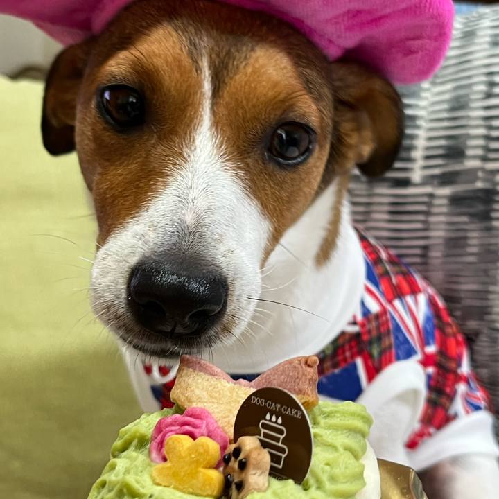 87224bba ef1d 4a26 a309 e50620500fb9 1754477398279