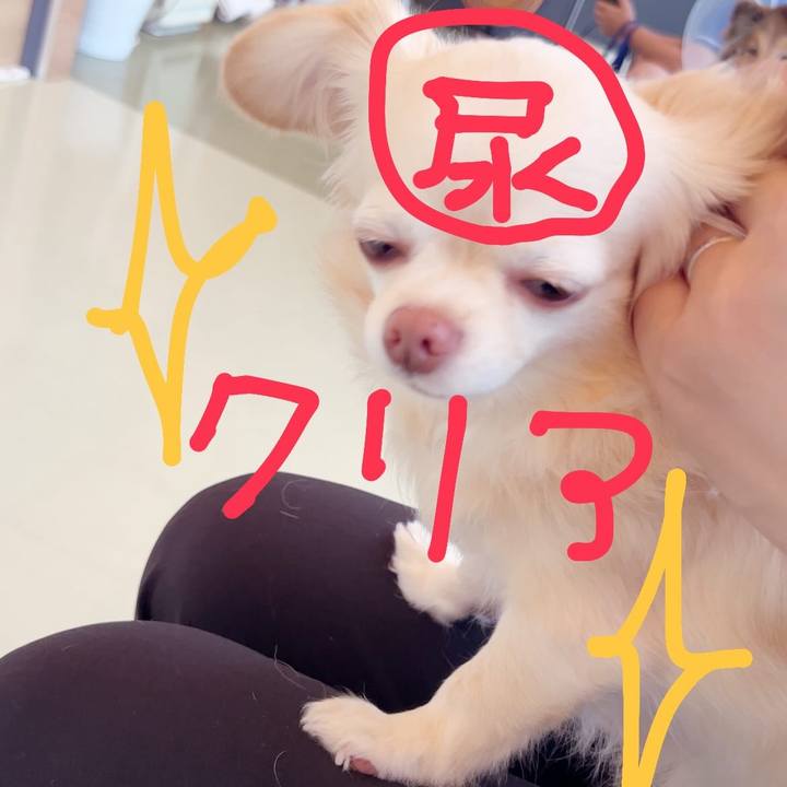 87228dcc a40c 4014 b42d 56fde9f67365 1754128451733