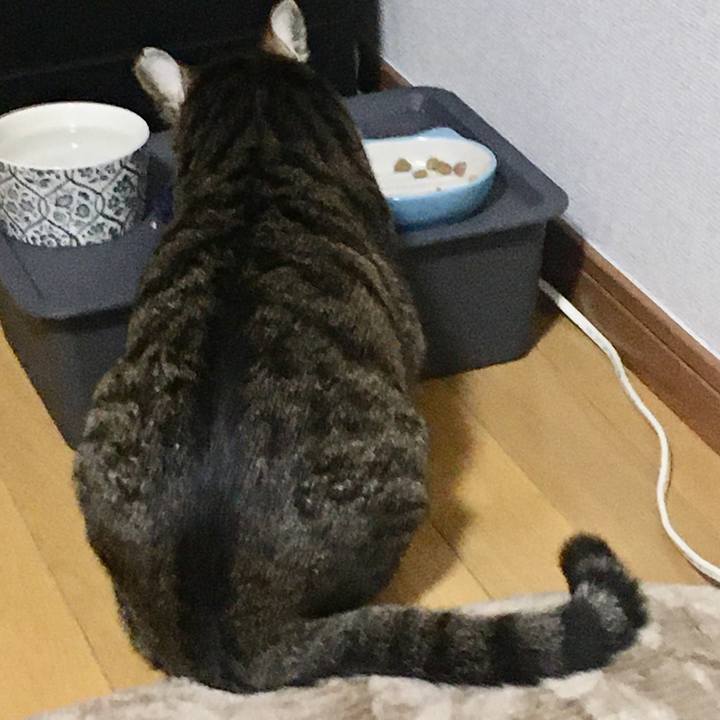 87229cf4 9436 4ce5 8f6e 25f0853a1066 1582031481396