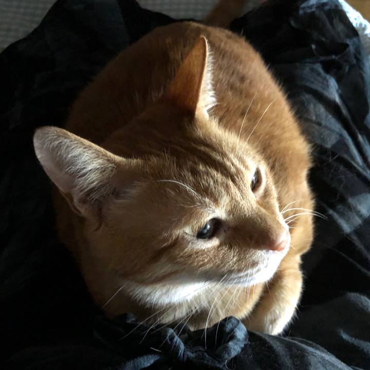 8722a488 7018 490c 8cad 9cb62ba45c51 1724239132494